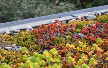 the cost of Pentiken green roof installation