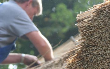 professional Pentiken thatchers