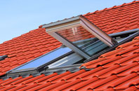 Pentiken roof window