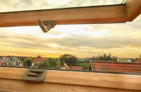 rated Pentiken roof window companies